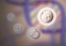 Guoping Fan Lab/UCLA